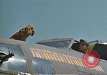 Image of B-17with 26 missions United Kingdom, 1943, second 19 stock footage video 65675061413