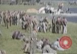 Standbild B-17 Flying Fortress Bomber Vereinigtes Königreich, 1943, aus Sekunde 47 historischem Filmmaterial Videoclip 65675061416