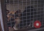 Image of 377th Air Police Security Squadron Vietnam, 1966, second 20 stock footage video 65675061421