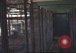 Image of 377th Air Police Security Squadron Vietnam, 1966, second 33 stock footage video 65675061421
