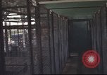 Image of 377th Air Police Security Squadron Vietnam, 1966, second 34 stock footage video 65675061421