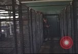 Image of 377th Air Police Security Squadron Vietnam, 1966, second 35 stock footage video 65675061421