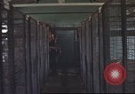 Image of 377th Air Police Security Squadron Vietnam, 1966, second 38 stock footage video 65675061421