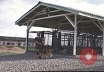 Image of 377th Air Police Security Squadron Vietnam, 1966, second 54 stock footage video 65675061421