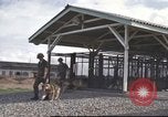 Image of 377th Air Police Security Squadron Vietnam, 1966, second 56 stock footage video 65675061421