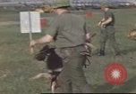 Image of 377th Air Police Security Squadron Vietnam, 1966, second 4 stock footage video 65675061422