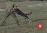 Image of 377th Air Police Security Squadron Vietnam, 1966, second 7 stock footage video 65675061422