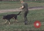 Image of 377th Air Police Security Squadron Vietnam, 1966, second 8 stock footage video 65675061422