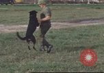 Image of 377th Air Police Security Squadron Vietnam, 1966, second 9 stock footage video 65675061422