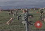 Image of 377th Air Police Security Squadron Vietnam, 1966, second 10 stock footage video 65675061422