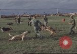 Image of 377th Air Police Security Squadron Vietnam, 1966, second 11 stock footage video 65675061422