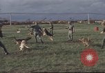 Image of 377th Air Police Security Squadron Vietnam, 1966, second 12 stock footage video 65675061422