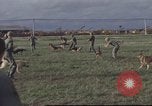 Image of 377th Air Police Security Squadron Vietnam, 1966, second 14 stock footage video 65675061422