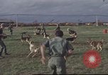 Image of 377th Air Police Security Squadron Vietnam, 1966, second 15 stock footage video 65675061422