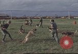 Image of 377th Air Police Security Squadron Vietnam, 1966, second 16 stock footage video 65675061422