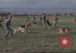 Image of 377th Air Police Security Squadron Vietnam, 1966, second 17 stock footage video 65675061422