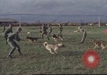 Image of 377th Air Police Security Squadron Vietnam, 1966, second 18 stock footage video 65675061422