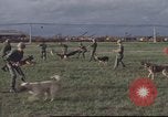 Image of 377th Air Police Security Squadron Vietnam, 1966, second 19 stock footage video 65675061422