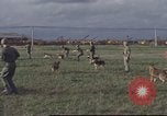 Image of 377th Air Police Security Squadron Vietnam, 1966, second 20 stock footage video 65675061422