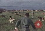Image of 377th Air Police Security Squadron Vietnam, 1966, second 21 stock footage video 65675061422