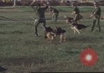 Image of 377th Air Police Security Squadron Vietnam, 1966, second 24 stock footage video 65675061422