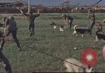 Image of 377th Air Police Security Squadron Vietnam, 1966, second 25 stock footage video 65675061422