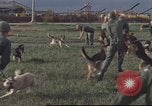 Image of 377th Air Police Security Squadron Vietnam, 1966, second 27 stock footage video 65675061422