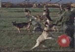 Image of 377th Air Police Security Squadron Vietnam, 1966, second 28 stock footage video 65675061422