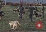 Image of 377th Air Police Security Squadron Vietnam, 1966, second 29 stock footage video 65675061422