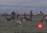 Image of 377th Air Police Security Squadron Vietnam, 1966, second 32 stock footage video 65675061422