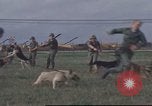 Image of 377th Air Police Security Squadron Vietnam, 1966, second 34 stock footage video 65675061422