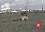 Image of 377th Air Police Security Squadron Vietnam, 1966, second 39 stock footage video 65675061422