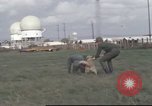 Image of 377th Air Police Security Squadron Vietnam, 1966, second 40 stock footage video 65675061422