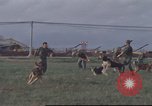 Image of 377th Air Police Security Squadron Vietnam, 1966, second 43 stock footage video 65675061422