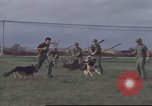 Image of 377th Air Police Security Squadron Vietnam, 1966, second 44 stock footage video 65675061422