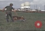 Image of 377th Air Police Security Squadron Vietnam, 1966, second 50 stock footage video 65675061422