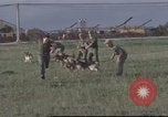 Image of 377th Air Police Security Squadron Vietnam, 1966, second 56 stock footage video 65675061422