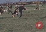 Image of 377th Air Police Security Squadron Vietnam, 1966, second 57 stock footage video 65675061422