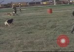 Image of 377th Air Police Security Squadron Vietnam, 1966, second 58 stock footage video 65675061422