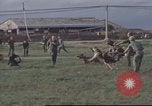 Image of 377th Air Police Security Squadron Vietnam, 1966, second 60 stock footage video 65675061422
