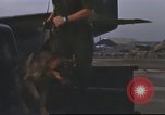 Image of 377th Air Police Security Squadron Vietnam, 1966, second 26 stock footage video 65675061423