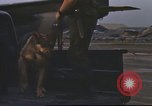 Image of 377th Air Police Security Squadron Vietnam, 1966, second 27 stock footage video 65675061423