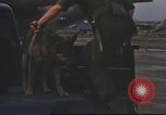 Image of 377th Air Police Security Squadron Vietnam, 1966, second 28 stock footage video 65675061423
