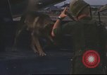 Image of 377th Air Police Security Squadron Vietnam, 1966, second 29 stock footage video 65675061423