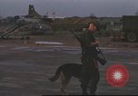 Image of 377th Air Police Security Squadron Vietnam, 1966, second 37 stock footage video 65675061423