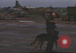 Image of 377th Air Police Security Squadron Vietnam, 1966, second 38 stock footage video 65675061423