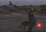 Image of 377th Air Police Security Squadron Vietnam, 1966, second 39 stock footage video 65675061423