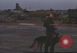 Image of 377th Air Police Security Squadron Vietnam, 1966, second 40 stock footage video 65675061423