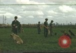 Standbild 377 Air Polizei Security Squadron Vietnam, 1966, aus Sekunde 1 historischem Filmmaterial Videoclip 65675061424