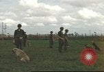Standbild 377 Air Polizei Security Squadron Vietnam, 1966, aus Sekunde 3 historischem Filmmaterial Videoclip 65675061424